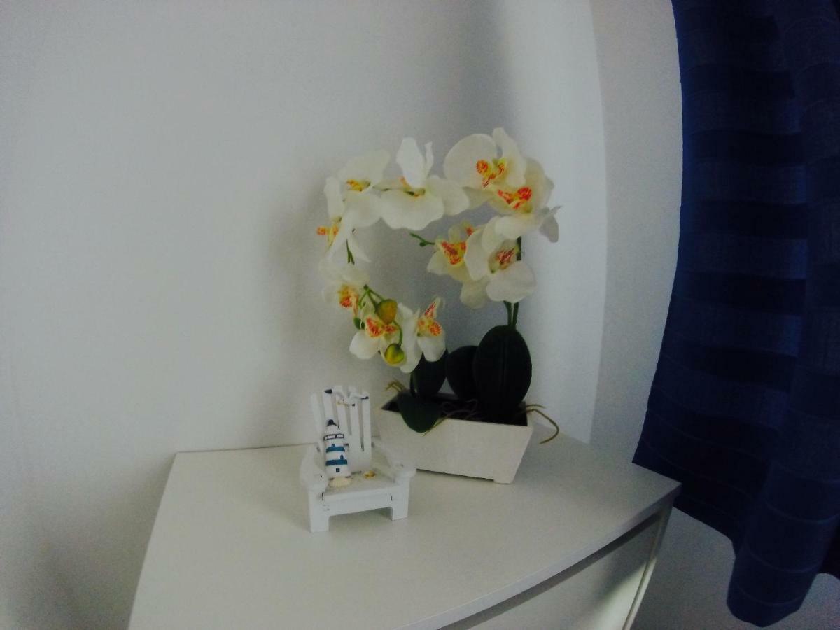 Andros Apartament *