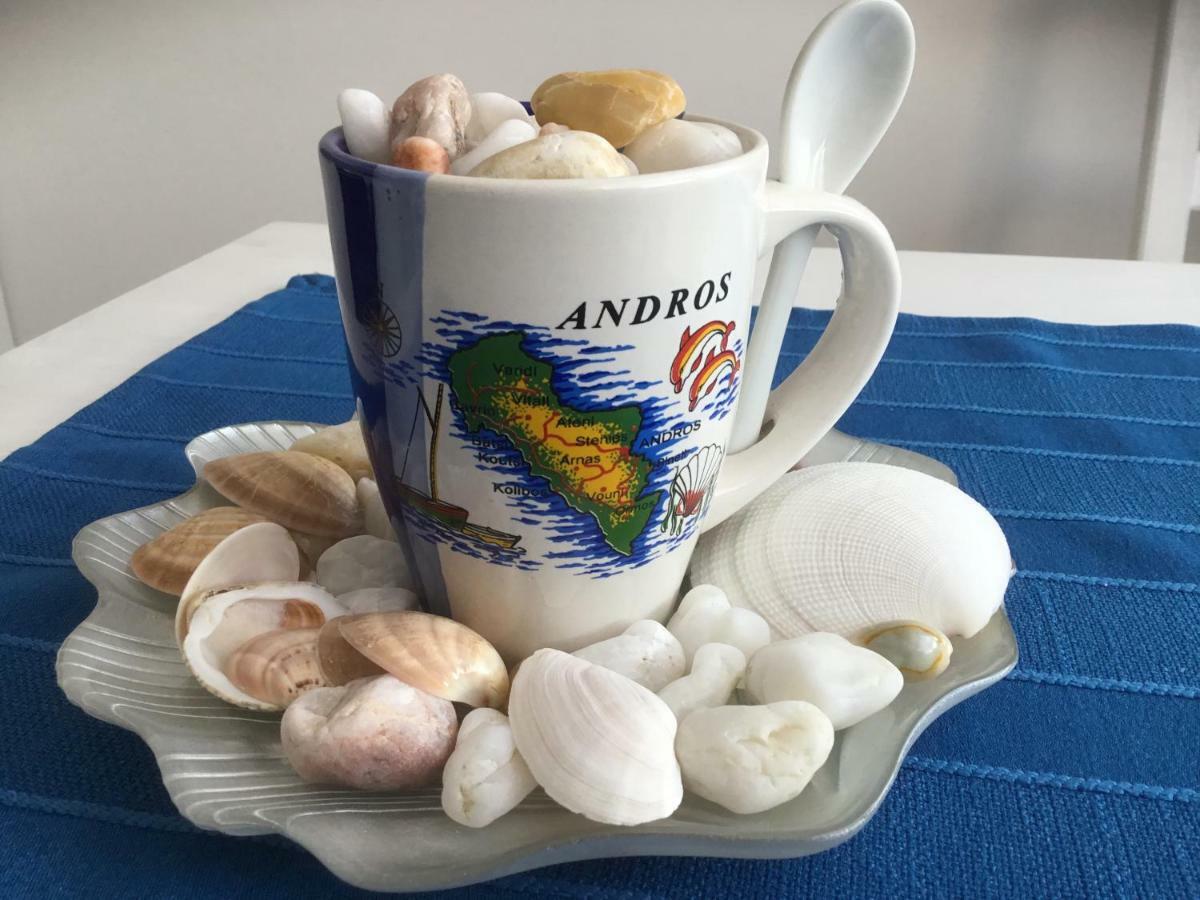 Andros Svinoústí