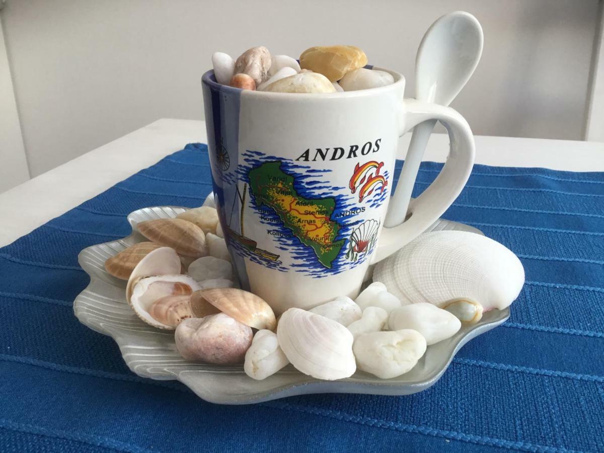 Andros Apartament